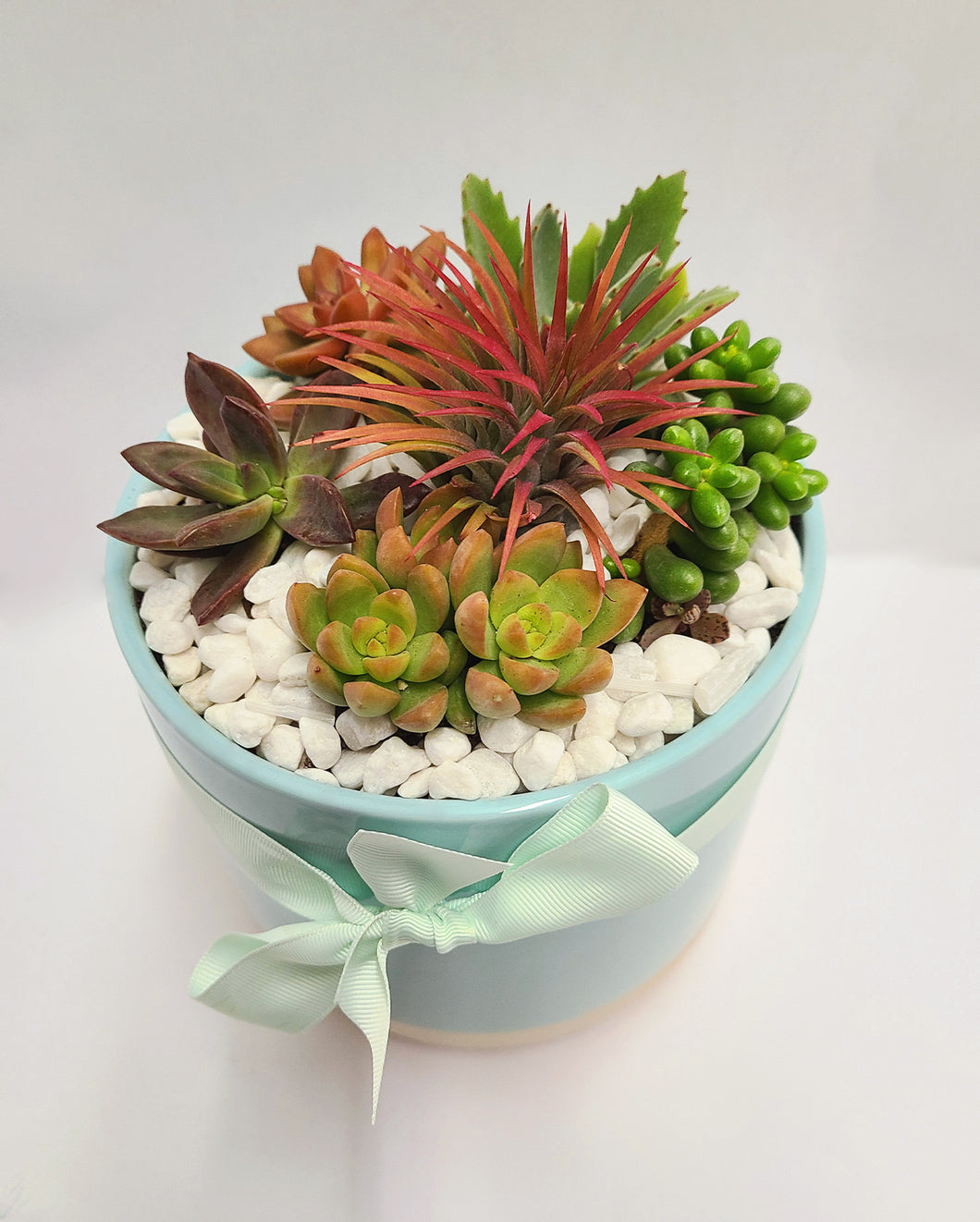 Succulent Planter